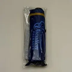 ディズニー傘　バケーションパッケージ　未使用新品