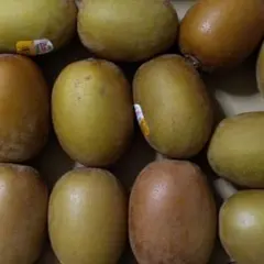 cumi石♦︎いいねSALE中！！さん専用