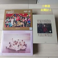 激レア！新品未開封 シュリンク付☆「AKB48 ジグソーパズル　3点セット」☆