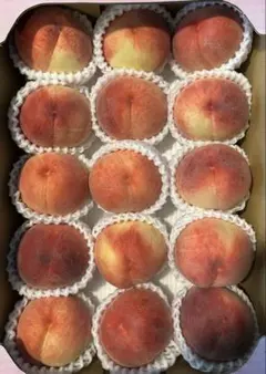 山梨一宮の木のてっぺんから収穫した プレミアムピーチを9個詰めて発送