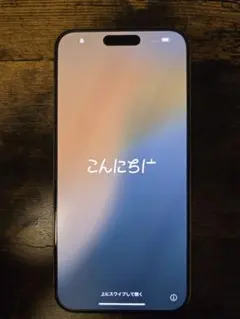Apple iPhone 15 Pro Max本体
