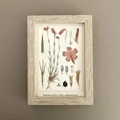 Item thumbnail for item 88a36494-5e65-4942-a07f-359e9475bf32