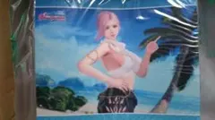 10枚限定 清水ひかり 直筆サイン入りチェキカード 女子プロレスカード2023 10枚限定 清水ひかり 直筆サイン入りチェキカード 女子プロレス