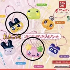 ガチャガチャ　たまごっちカラフルキャンディーチャーム　まめっち　ふらわっち
