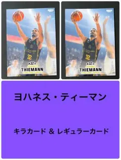 Item thumbnail for item 26261051-20e8-443f-840c-d3bc5d9603d8