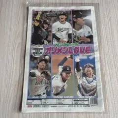 Item thumbnail for item 3944920c-0a9f-4148-9477-44ad0b9647a0