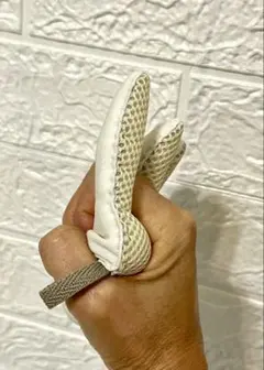 Item thumbnail for item 702b3aed-f566-4e72-b4ef-7625b0cdfb03