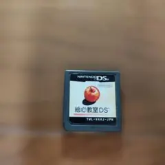 絵心教室DS (TWL-VAAJ-JPN)【ジャンク品】