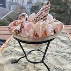 大き目アイアンの脚付きガラスベース　貝殻盛りセット