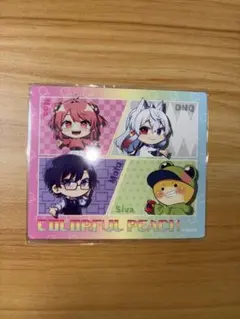 からぴち　マグネット　のあ　もふ　どぬく　シヴァ