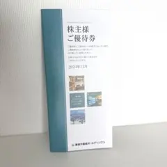 東急不動産ホールディングス　株主優待　100株分