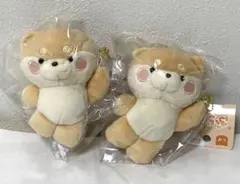 Item thumbnail for item e6a56aca-47c4-47d7-bea4-19d000bb1bdb