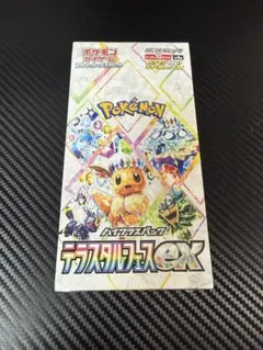 2026年最新】テラスタルフェスex BOXの人気アイテム - メルカリ