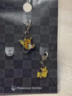ポケモンセンター 全国図鑑メタルチャーム　キーホルダー 2個セット