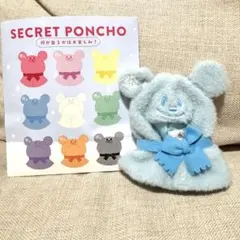 ディズニー ディズニーストア シークレットポンチョ 水色