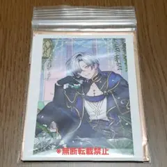 最終値下【ミラン・ケストレル】ノスタルジアコレクション2025