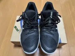 アシックス SKY ELITE FF 3 27.5cm