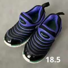 ナイキ　ダイナモフリー