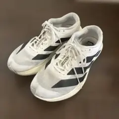 Item thumbnail for item 75b48e9a-f5df-4824-ac2c-7d80a6101d1f