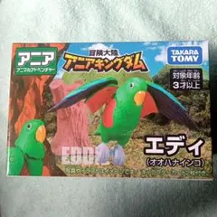 アニア アニマルアドベンチャー アニアキングダム エディ オオハナインコ