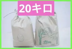 ◆栽培期間中無農薬◆令和7年収穫 ◆滋賀県産キヌヒカリ、玄米20キロ①のサムネイル