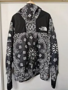Supreme the north face バンダナ　マウントジャケット