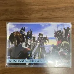 ガンダムseed ラクス　カガリ　キラ　シン　ルナマリア　アスラン　レイ