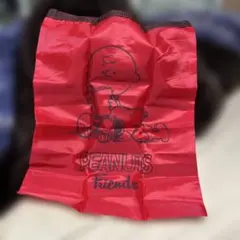 スヌーピー PEANUTS エコバック 新品 チャーリーブラウン