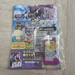 未開封 SP ポケモン おたのしみブック ギンガの覇道 プロモカード
