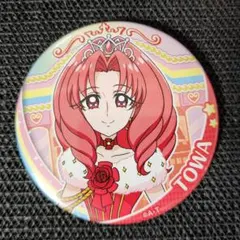 全プリキュア展 缶バッジ キュアドリーム - メルカリ
