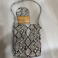 ヘビ柄ショルダーバッグとポーチ