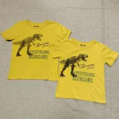グローバルワークお揃い　キッズ恐竜Ｔシャツ(Ｌ＆ＸＬ)