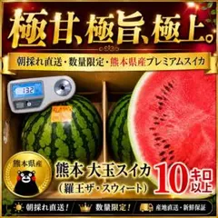 2玉でお得！！熊本県産 羅皇ザ・スウィート プレミアムスイカ 2玉