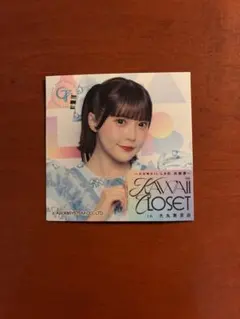 2026年最新】りのまる チェキの人気アイテム - メルカリ
