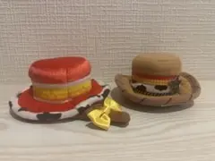 ディズニー　キャラクターヘアピンセット トイストーリー　ウッディ　ジェシー