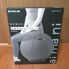 バランスボール エクササイズグッズ