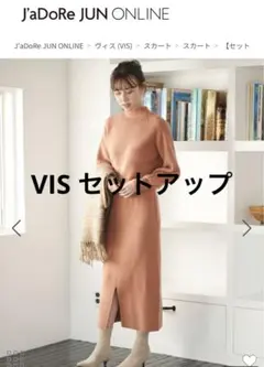 VISセットアップニットタグ付き