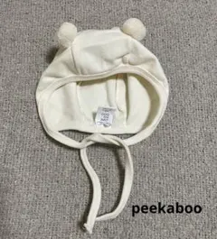 Item thumbnail for item e782063c-4431-451b-a69f-f1aaf135fd72