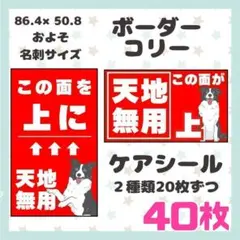 【ボーダーコリー】ケアシール　注意喚起　天地無用　40枚 シンプル　動物　犬