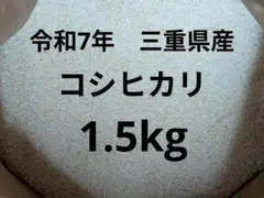 令和7年　三重県産　コシヒカリ　白米1.5kg　　農家直送のサムネイル