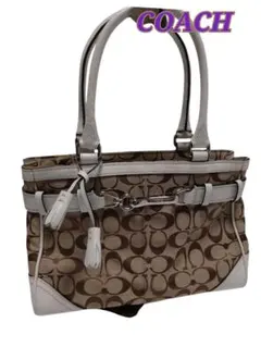 Item thumbnail for item 75aebb78-37e5-417c-8a73-4025e6fcf940