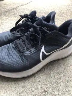 Item thumbnail for item 541c3f7e-439e-40a1-a741-051b992beeb6