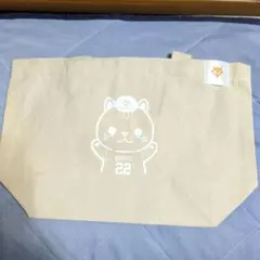 Item thumbnail for item 5c9b70d6-3311-40eb-add7-6429a41d6a01