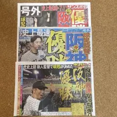 阪神タイガース 優勝記念新聞 号外 3種セット