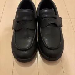 Item thumbnail for item a6d92380-54e6-425c-b51b-72ea8be3907c