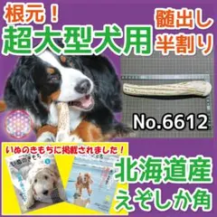 超大型犬用 エゾ鹿の角 根元 半割り1本 北海道産 犬 おもちゃ 66128のサムネイル