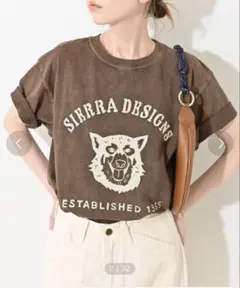 2026年最新】SLOBE IENA レディース 半袖(Tシャツ) Tシャツ