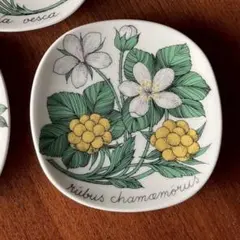 2025年最新】アラビア ボタニカの人気アイテム - メルカリ