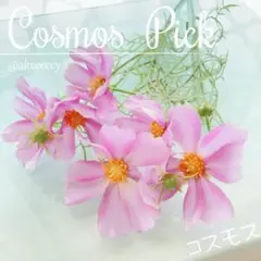 【LAST ❶】秋桜✨アーティフィシャルフラワー ♡ コスモス 2本set_B1