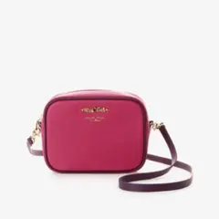 レア美品　サマンサタバサ　チェシャ猫　ショルダーバッグ　ディズニーコラボ